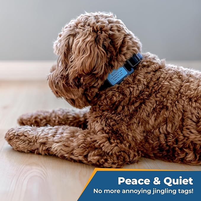 GoTags Silicone Slide On Pet ID Tag, Personalized Engraved Colorful Collar Slide Dog Tag Nameplate for Pets, No Noise Quiet Dog Tags Small Medium Large in 5 Colors