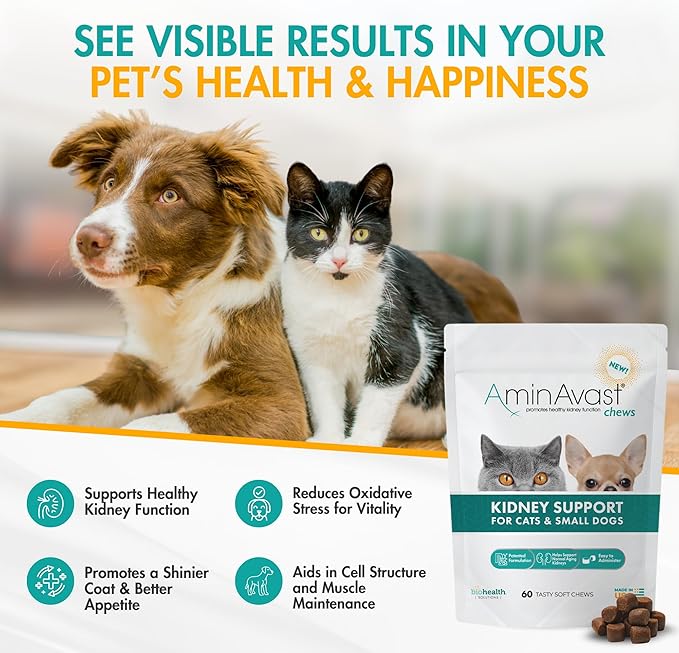 AminAvast Small Dogs & Cat Kidney Support - Promotes Healthy Kidney Support in Cats & Small Dogs - 300mg (60 Chews)