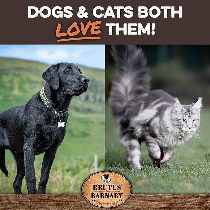 BRUTUS & BARNABY Dehydrated Lung Dog & Cat Treats, 10oz – USA Organ Meat Stick (Beef & Turkey Lung, Liver), High Protein Pet Snack