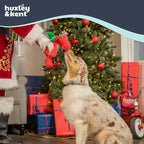 Huxley & Kent Funny Dog Toy w/Squeaker – Holiday Power Plush Squeaky Dog Toys for Small, Medium & Large Dogs – Soft Stuffed Animal for Indoor Play & Fetch - Snowball Dragon, Small