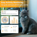 Lite for Cats 4g GPS Tracker | Real Time Tracking | Activity Monitoring |Location History | Unlimited Range | Safety Collar Included | Simply White