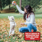 QDAN Soccer Ball Dog Toy - Extra Small Dog Balls, Beach & Pool, Chicken & Puppy Gifts, Herding (5 Inch)