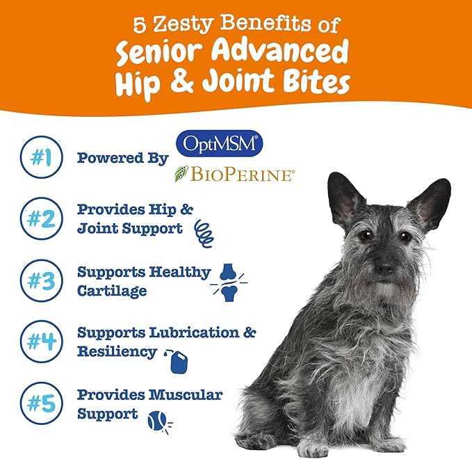 Zesty Paws Mobility Bites Joint Supplement for Dogs - Soft Chews with Glucosamine for Dogs, Chondroitin, & MSM + Vitamins C and E - Adv Chicken - 60 Count