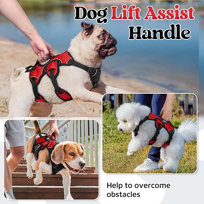 rabbitgoo Escape Proof Dog Harness, Soft Padded Full Body Pet Harness, Reflective Adjustable No Pull Vest with Lift Handle and Leash Clip for Large Dogs Walking Hiking Training, S, Red