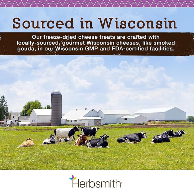 Herbsmith Sassy Cat Treats – Freeze Dried Smoked Gouda – Human-Grade Wisconsin Cheese – Natural Snack for Picky Eaters – 1 Ingredient – USA Made – 4.3 oz