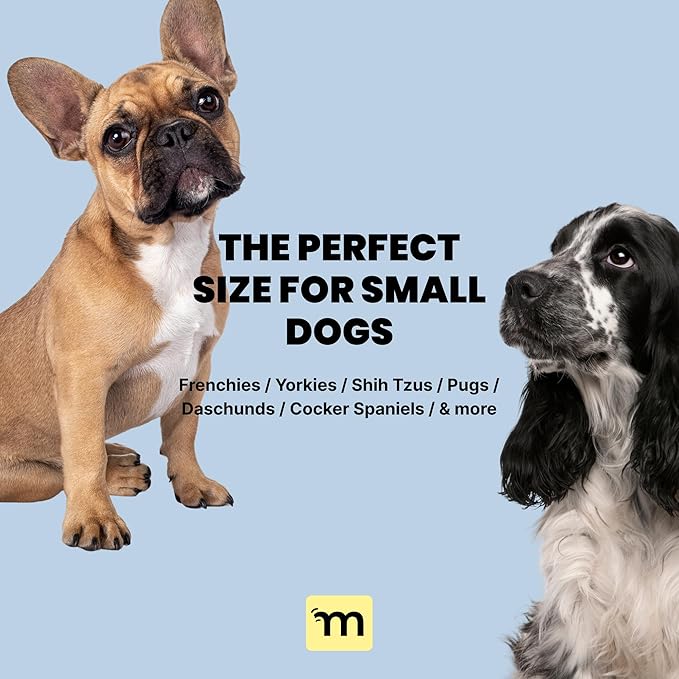 Malsipree 2-in-1 Portable Dog Water Bottle & Bowl for Small Dogs - Leak Proof & Insulating - Travel Water Dispenser - Stainless Steel Bottle & Silicone Bowl - Walking & Hiking (10 fl oz, Navy)