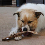 SPOT Dura-Fused Leather Retriever Dog Toy – Real Leather & Jute Fabric, Double-Stitched & Durable, Squeaky Interactive Tug Toy with Rope Handle for Moderate Chewers, Soft Stuffed Fetch Toy, 15in