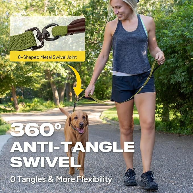 Fida 2-in-1 Slip Leads for Dogs with Double Handles, Tangle Free Leash for Large Dogs That Pull, Heavy Duty No Pull Training Leash Reflective Soft Padded for Large & Medium Breed(6ft,Green)