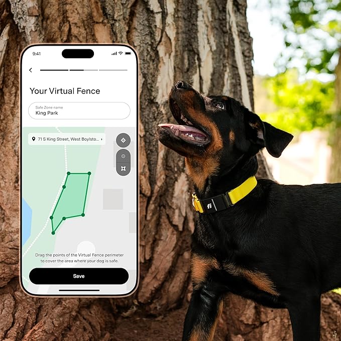 Fi Series 3+ Smart Dog Collar - GPS Dog Tracker and Activity & Fitness Monitor, Waterproof, LED Light, Escape Alerts, Nationwide Coverage [Free 6 Month Membership] (Yellow, Medium)