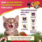 Cat Multivitamin Complex with Turkey Flavor – Natural Cat Antibiotic Liquid Alternative to Help with Allergies, UTIs & Cough – Herbal No Antibiotic Yes Multivitamin for All Breeds – 2 Oz