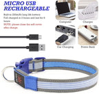 YFbrite Full Adjustbale LED Dog Collar, Full Illuminated Light up Dog Collars, Reflective Dog Collar Light Glowing in The Dark for All Dogs Safety (Large, Blue-2)