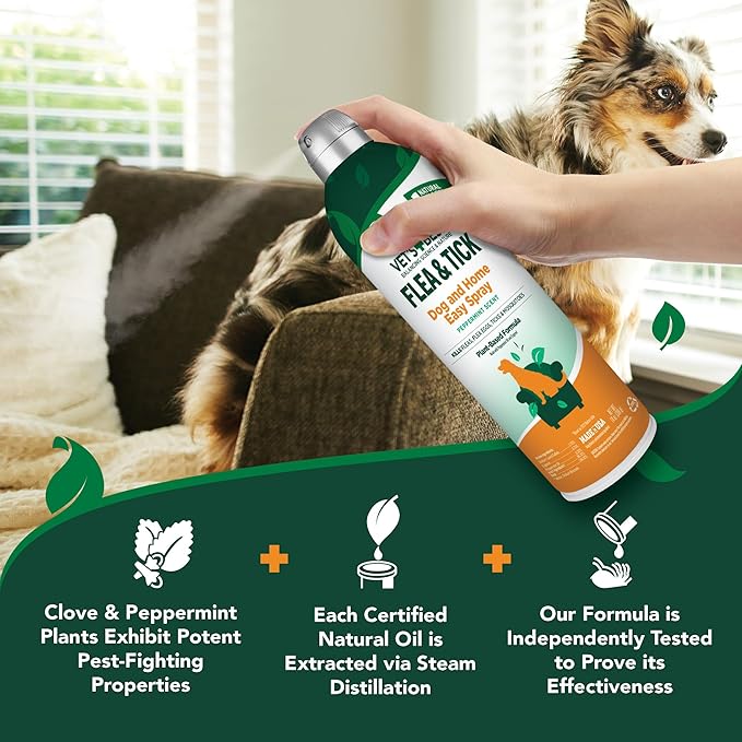 Vet's Best Natural Flea and Tick Home Spray, Dog Flea and Tick Treatment for Home, Plant-Based Flea and Tick Prevention, Dog Flea & Tick Control and Mosquito Repellent, Certified Natural Oils, 14 oz