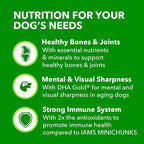 IAMS Proactive Health Healthy Aging Adult Dry Dog Food for Mature and Senior Dogs with Real Chicken, 15 lb. Bag