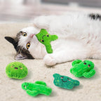 MALLMALL6 Catnip Toys for Cat - 5Pcs Cactus Prickly Plants Catmint Interactive Kitten Toy for Indoor Cats, Cute Soft Green Pet Supplies for Kitty Lover Gifts, Kitten Teething Chew Presents Set