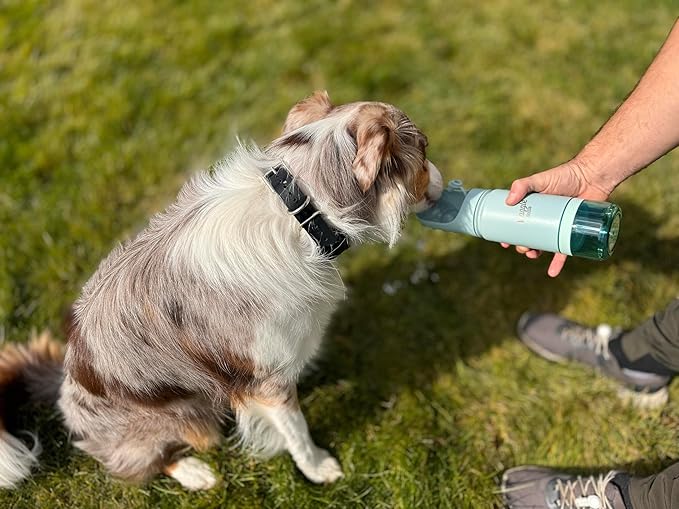 Stainless Steel Dog Travel Water Bottle, Vacuum Insulated Portable Dog Water Dispenser, Large Bottle with Drink Cup On The Go, Outdoor Walking, Hiking, Travel (Mint, 22oz)