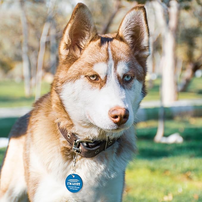 MYLUCKYTAG QR Code Stainless Steel Pet ID Tag - Personalized, Online Profile, Location Alert Email, Digital, Durable - Dog Collar Engraved