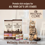 Wellness CORE Pate Kitten Wet Cat Food, Natural, Protein-Rich, Grain Free, 3 Ounce, 12 Pack (Chicken & Salmon)