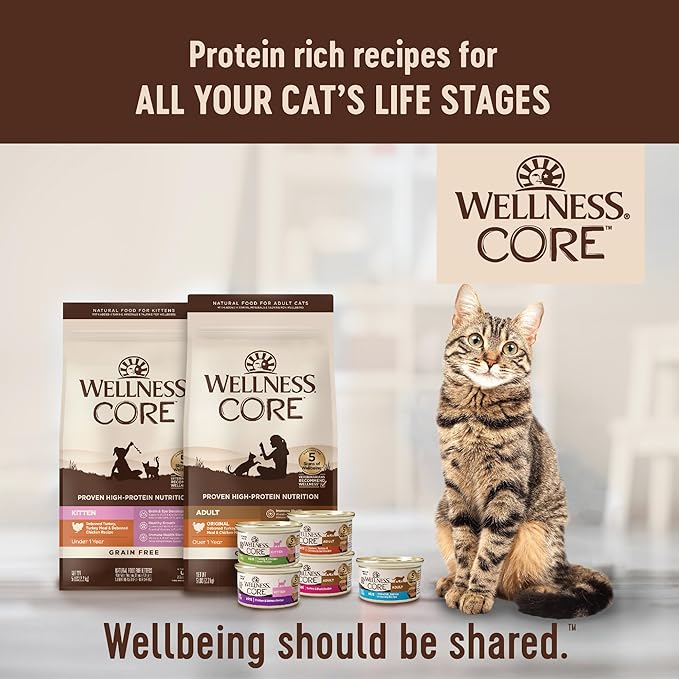Wellness CORE Pate Kitten Wet Cat Food, Natural, Protein-Rich, Grain Free, 3 Ounce, 12 Pack (Chicken & Salmon)