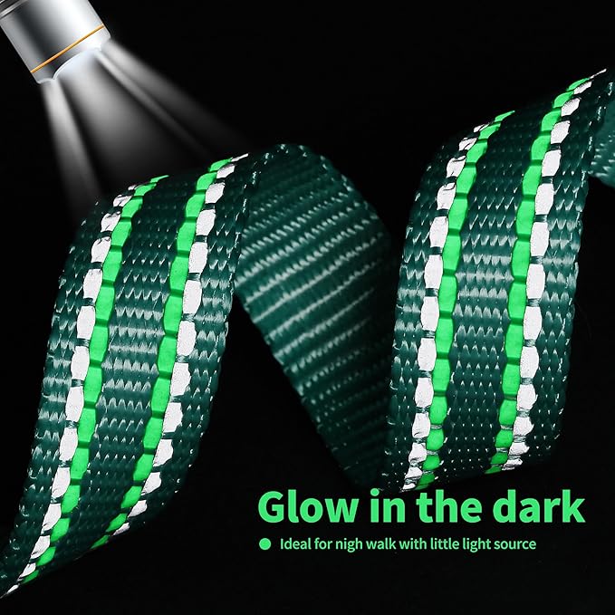 Mile High Life Nylon Night Light Glow Collar, Reflective Light Up Dog Collar, Fluorescent Self-Luminescent Strap for Small Medium Large Dogs (Green, XS Neck9-13")