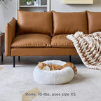 Bedsure Calming Cat Beds for Indoor Cats - Small Cat Bed Washable 20 inches, Anti-Slip Round Fluffy Plush Faux Fur Pet Bed, Fits up to 15 lbs Pets, Frost Grey