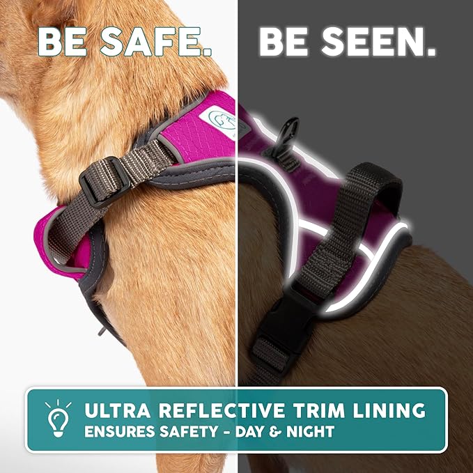 Embark Adventure Dog Harness, Reflective Trim No Pull Dog Harness for Large Dogs - Military Grade Nylon, Front Clip with Gel Lined Handle.