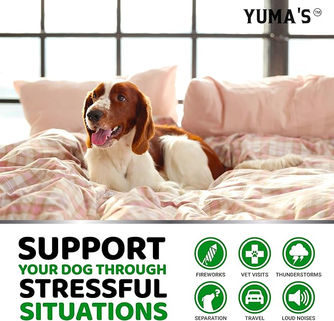 YUMA'S Hemp Calming Chews for Dogs - Advanced Dog Calming Chews - 170 Chews - Anxiety Relief Treats - Separation Aid, Barking, Stress Relief, Thunderstorms - Melatonin - Hemp Oil - Made in USA