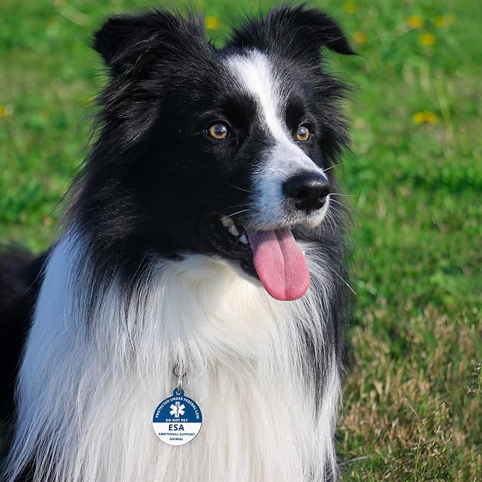 MYLUCKYTAG Emotional Support Animal (ESA) Tag - QR Code Digital Pet ID, Online Profile, Location Alert Email - Durable Stainless Steel Collar Tag