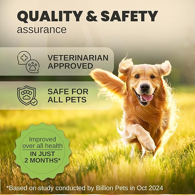 Billion Pets - Hemp Oil for Dogs and Cats - Helps with Anxiety, Pain, Stress, Sleep, Arthritis, Seizures Relief - Hip and Joint Support - Calming Drops Treats