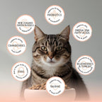 Blackwood Bounty Dry Cat Food, Salmon & Rainbow Trout Recipe for All Life Stages, 10 Pound Bag, High Protein, Grain Free