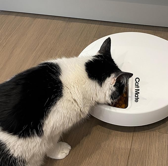 Cat Mate Replacement Bowl with Stainless Steel Inserts for The Five-Meal Automatic Pet Feeder