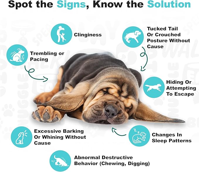 Doggie Dailies Calming Chews for Dogs - Melatonin for Dogs with Chamomile to Help Manage Stress Relief - Calm & Relaxation During Thunderstorms, Fireworks, Travel, & Separation (Turkey) 225 Soft Chews