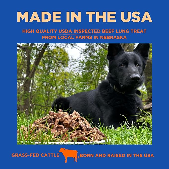 Beef Lung Dog Treats, 100% Natural, Single Ingredient, (1 Pound) Made in The USA, Dried & Dehydrated, High Protein, High Value Dog Training Treats, Grain Free, Low-Odor Free for All Breeds