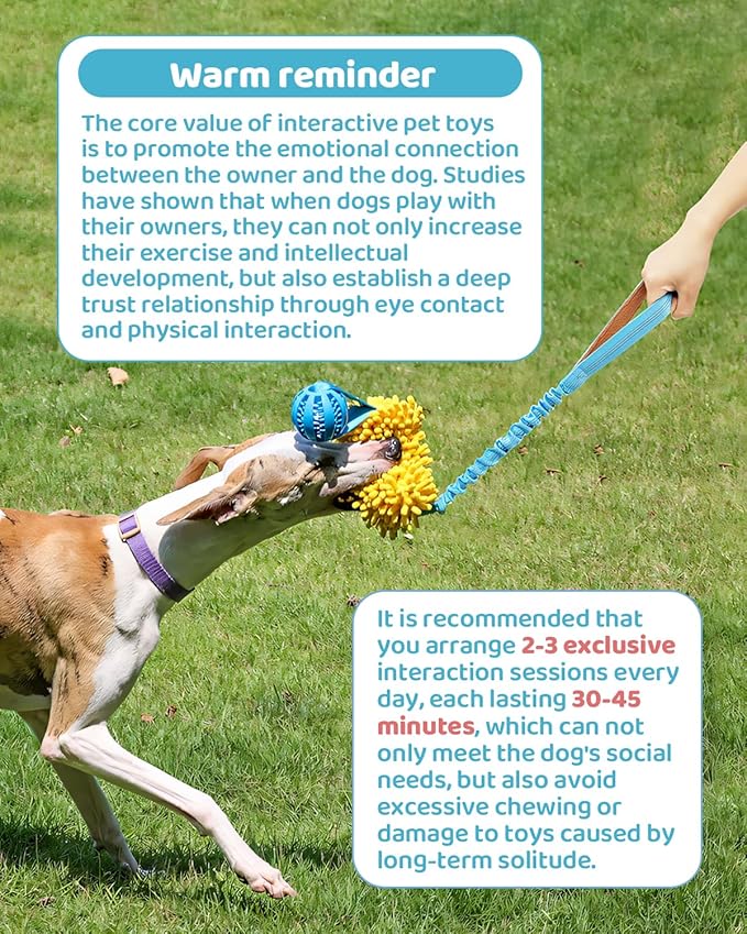 Dog Tug of War Toy, Interactive Chew Toy for Fun and Teeth Cleaning, Soft Nubby-Textured Noodle Plush with Rubber Ball, Dog Rope Toys for Training Small, Medium Large Dogs