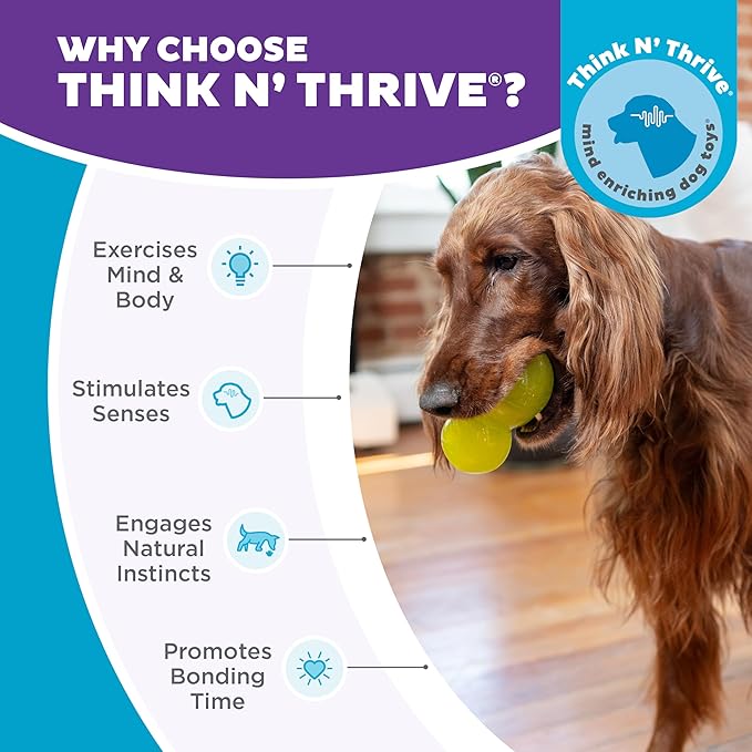 Outward Hound Double-Tuff Stuffable Dog Toy, Large 5-Inch Green - Treat Dispensing Chew Ball for Medium to Large Dogs, Interactive Puzzle for Enrichment & Slow Feeding