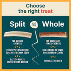 100% Natural - Elk Antlers for Dogs - Naturally Shed in USA - Long Lasting Chews for Aggressive Chewers - Natural, Real Dog Antler Treats & Toys - Dog Chews - No Odor & No Mess - Large