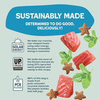 Shameless Pets Crunchy Cat Treats - Catnip Treats for Cats with Digestive Support, Kitten Treats with Real Ingredients, Natural & Healthy Flavored Feline Snacks - Fintastic Catnip, 1-Pk