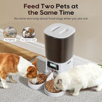 Automatic Cat Feeder,6L Timed Cat Dry Food Dispenser,Pet Feeder up to 6 Meals per Day,10S Voice Record,Flexible Schedule Timer,Auto Pet Feeder for Cats and Small Dogs (White, 6L)
