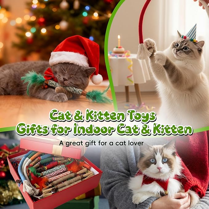 Silvervine Sticks for Cats & Cat Chew Rope Toy with Refillable Natural Catnip Bag for Teeth Cleaning, Interactive Cat Catnip Toys for Indoor Cats, Kitten Teething Toys for All Breeds (8Pcs)