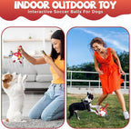 QDAN Soccer Ball Dog Toy - Extra Small Dog Balls, Beach & Pool, Chicken & Puppy Gifts, Herding (5 Inch)