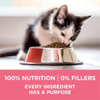 Purina ONE High Protein, Natural Dry Kitten Food, +Plus Healthy Kitten Formula - 16 lb. Bag