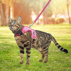 PUPTECK Cat Harness and Leash Set Escape Proof, Reflective Adjustable Soft Mesh Kitten Vest Harness for Walking Travel, Pink, M