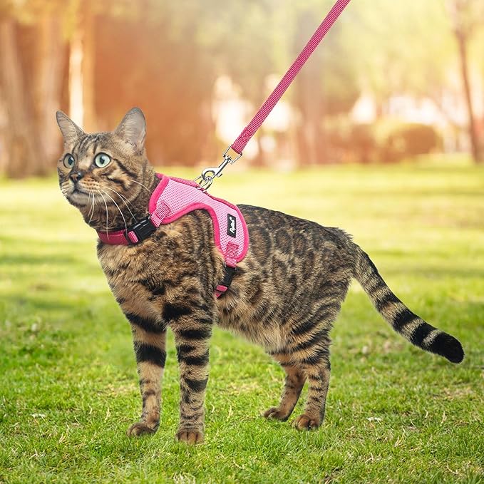 PUPTECK Cat Harness and Leash Set Escape Proof, Reflective Adjustable Soft Mesh Kitten Vest Harness for Walking Travel, Pink, S