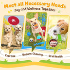 KIPRITII 25 Pack Various Puppy Dog Toys for Teething, Entertainment & Interaction, Puppy Chew Toys Pack with Rope Toy, Treat Balls and Dog Squeaky Toys for Puppies & Small Dogs