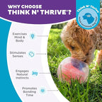 Outward Hound Nina Ottosson Topsy Treat Ball Dog Puzzle Interactive Treat Puzzle Dog Enrichment Dog Toy, Level 1 Beginner, Orange