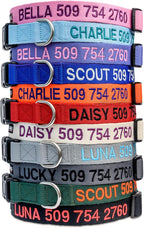GoTags Personalized Dog Collar, Custom Embroidered Pet ID Dog Collar with Pet Name and Phone Number, Adjustable with Quick Release Snap Buckle