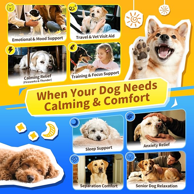 Hemp & Melatonin Calming Drops for Dogs – Day & Night Calming Treat for Anxiety Relief, Stress, Aggression, Separation, Relaxation & Sleep Aid, Chicken Flavor, 2 FL Oz