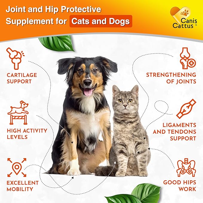 Canis&Cattus Liquid Glucosamine Dogs and Cats – Joint Supplement with MSM & Chondroitin – Mobility & Hip Support for Pets – Beef Flavor – 2oz