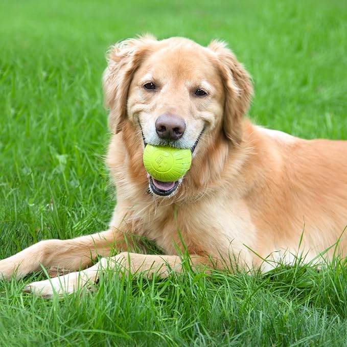 Chew King Supreme Dog Toy Collection, 2.5" 8 Pack