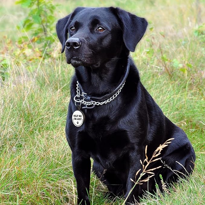 MYLUCKYTAG Silent Silicone QR Code Dog Tags - Scan QR for Instant Pet Location Alerts