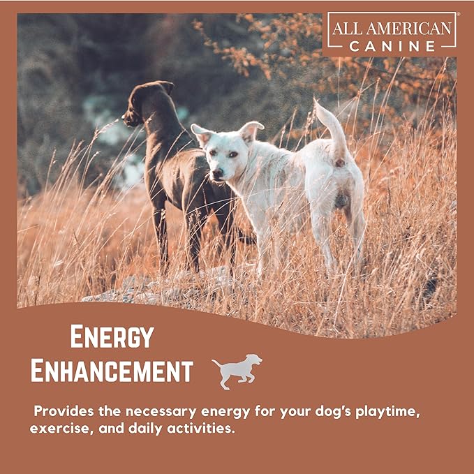 Dog Weight Gainer – High Calorie Dog Food Supplement & Protein Powder for Rapid Weight Gain, Mass, and Recovery – Appetite Stimulant – 60 Servings